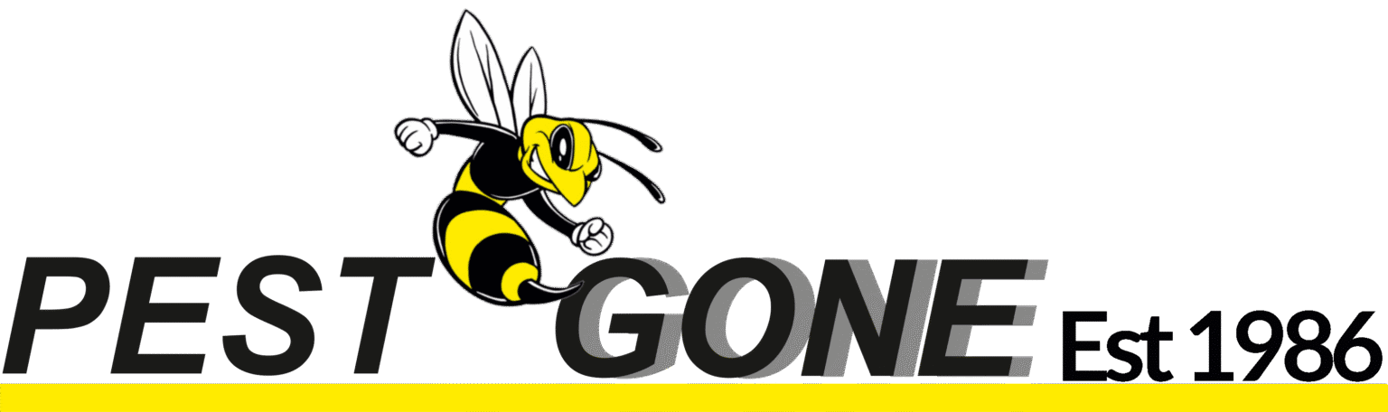 pest gone - Wasp Pest Control Services
